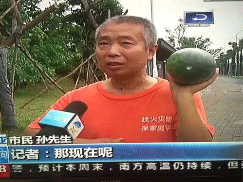 娱乐热门吃瓜事件,揭秘明星幕后恩怨情仇  第2张