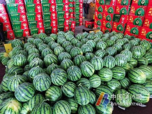 每日吃瓜大赛入口汇聚地,汇聚地揭秘,瓜界风云再起 第2张 每日吃瓜大赛入口汇聚地,汇聚地揭秘,瓜界风云再起 第2张