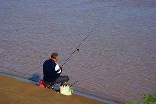 娱乐吃瓜君钓鱼 第3张 娱乐吃瓜君钓鱼 第3张